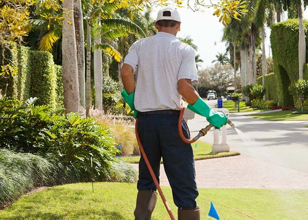 About Alvarado TX Pest Control